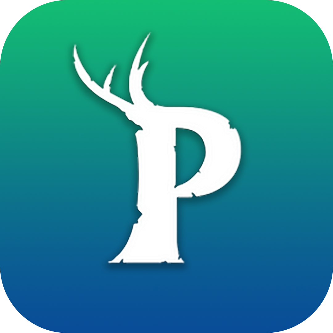Palworld